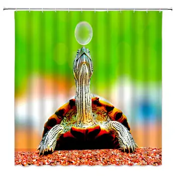 

Flame Turtle Shower Curtain Funny Animal Decor Turtle Spitting Blister on Granular Gravel Road Humor Nature Scene,Waterproof