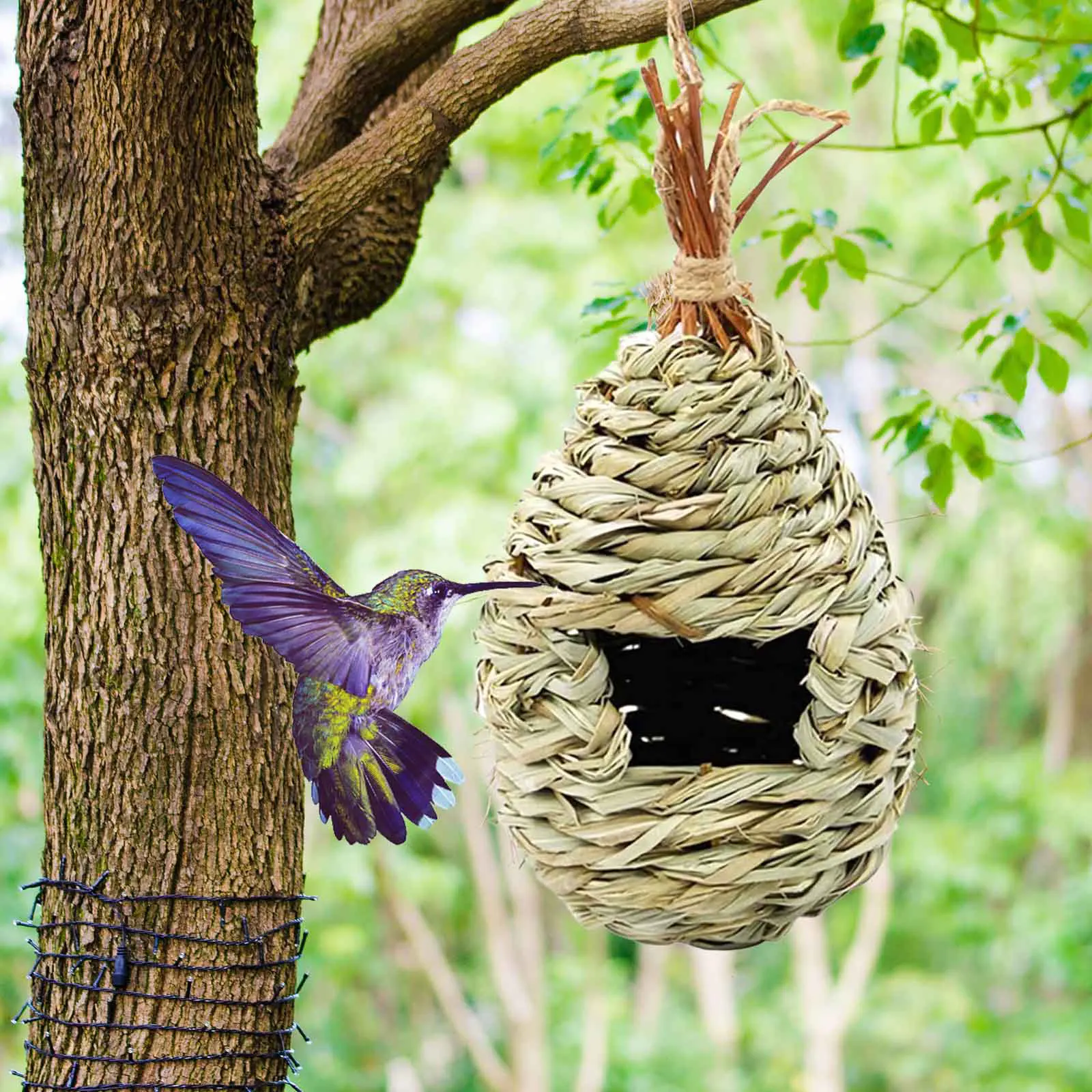 3xBird House Hanging Birdhouse Hummingbird Nest Fiber Hand-Woven Roosting Set US 