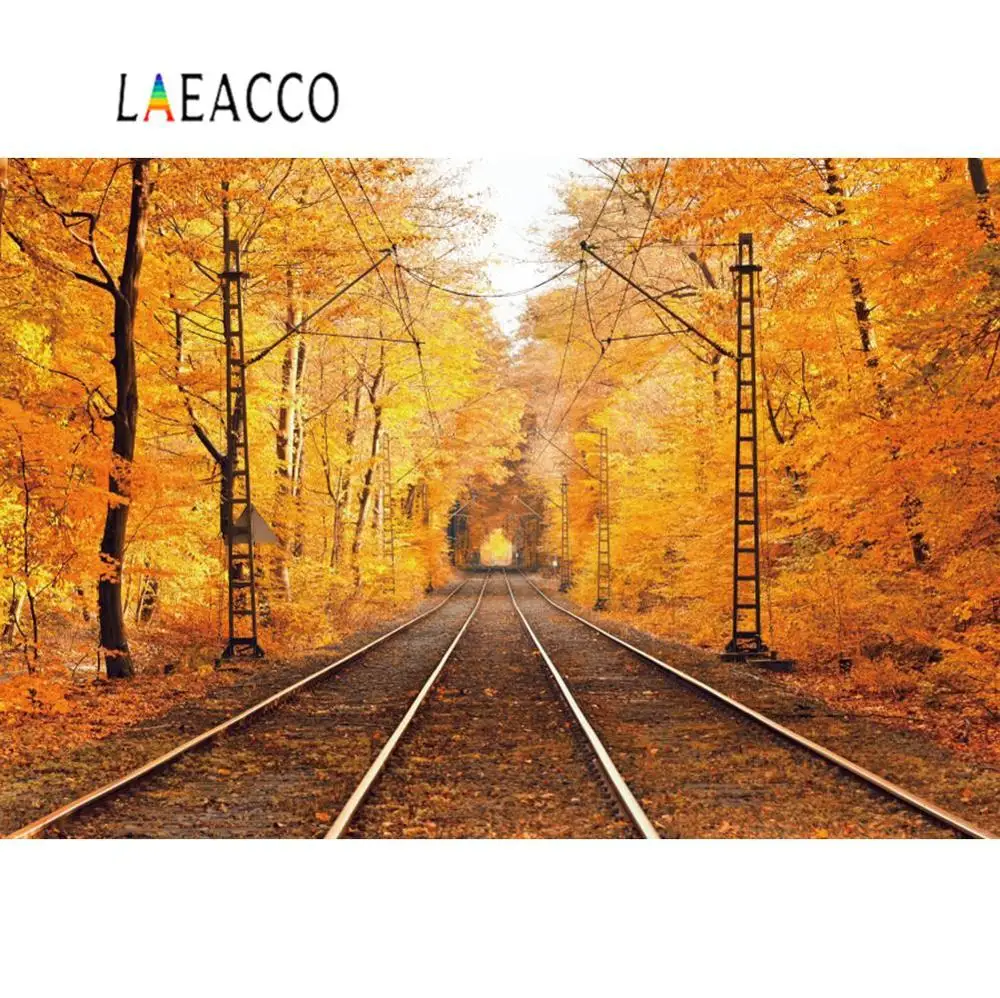 Laeacco Foggy осенний парк желтый лес железная дорога ребенок портрет фотография