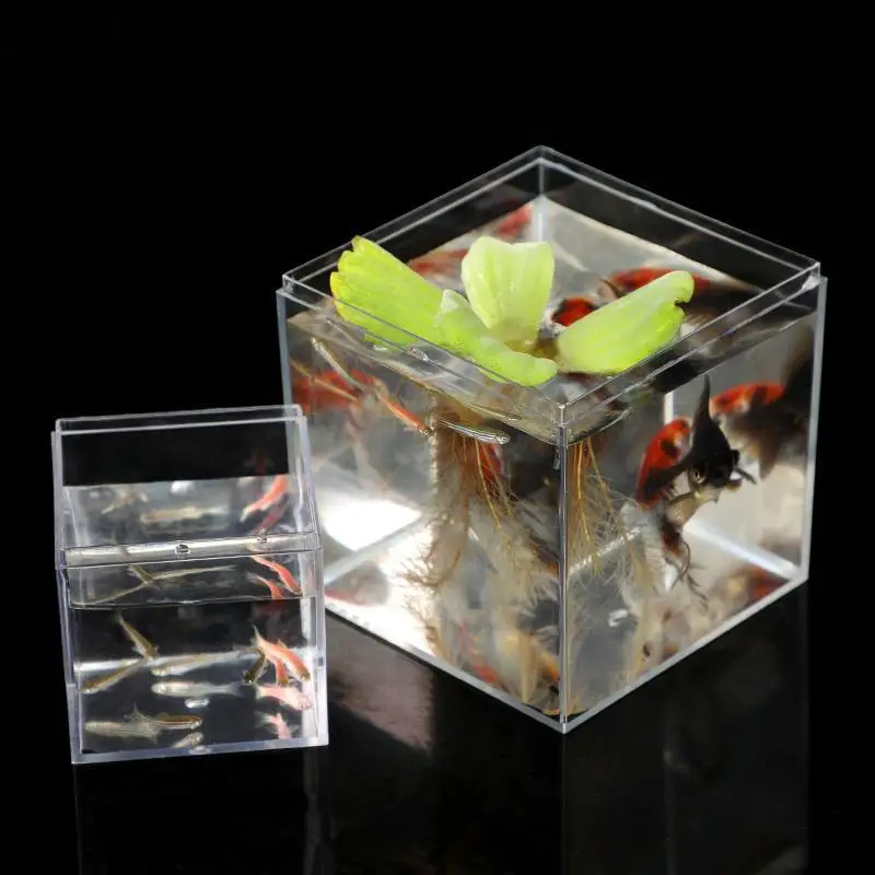 Betta Fish Tank Gold Fish Transparent Food Grade Plastic Tank Isolation Square Box WITH Lid Aquarium Accessories fish aquarium
