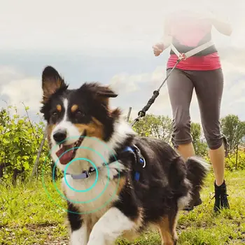 

Hot Pet Tracking Collar For Dogs Cats Smart Tracking Collar Real Time Activity Monitor Positioning Device For Pets Of All Sizes