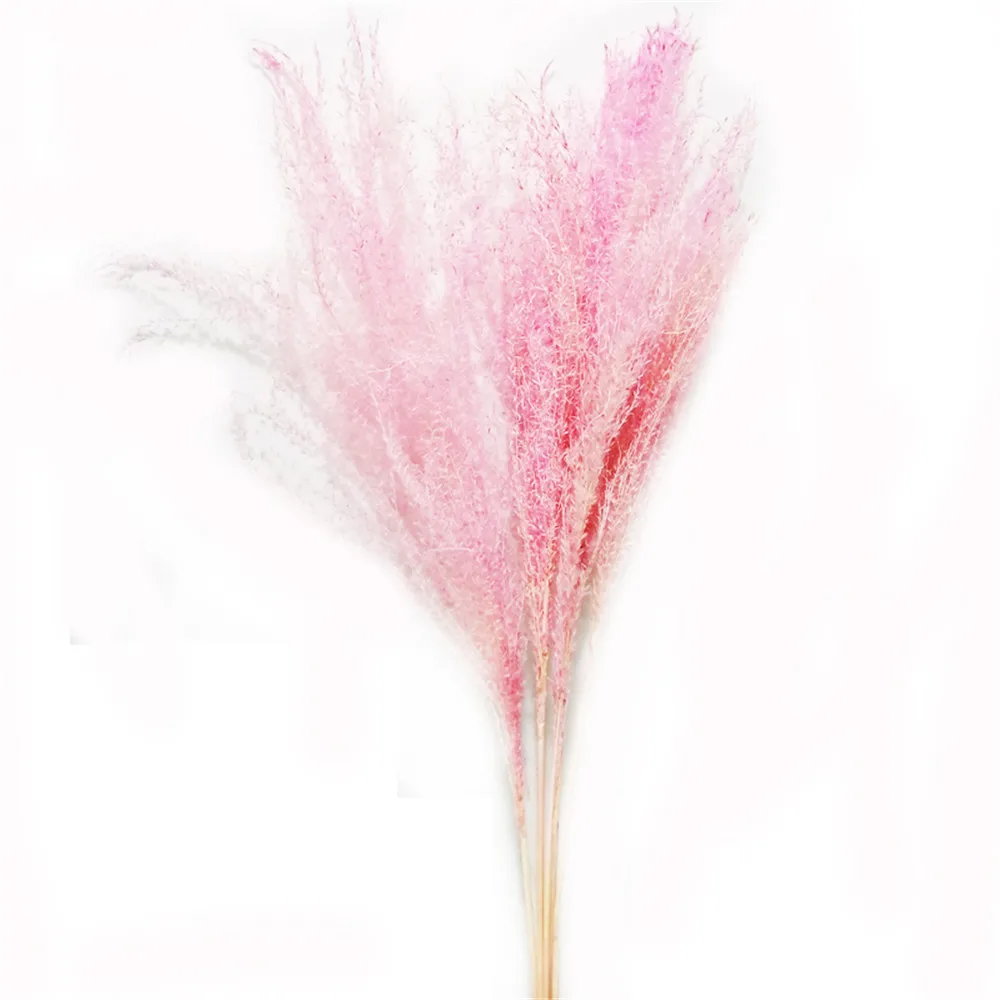 20 шт. засушенный натуральный пампасная трава розовый свадебный цветок букет домашний декор phragmites munisg розовый без вазы