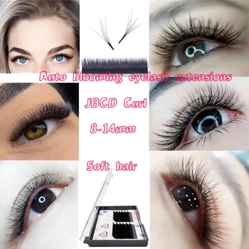 

Eyelash Extension Bloom Auto Fans Eyelash Easy Fanning Lashes Auto Fan Easy Fanning Eyelash Extension Blooming Volume Eyelashes