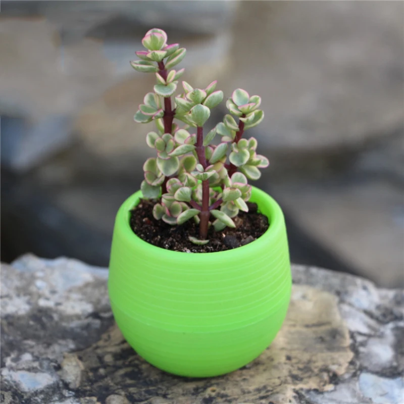 Flower pot Mini Colorful round Plastic flower pot for garden home office desktop flower pot flower pot decoration accessories - Цвет: Green