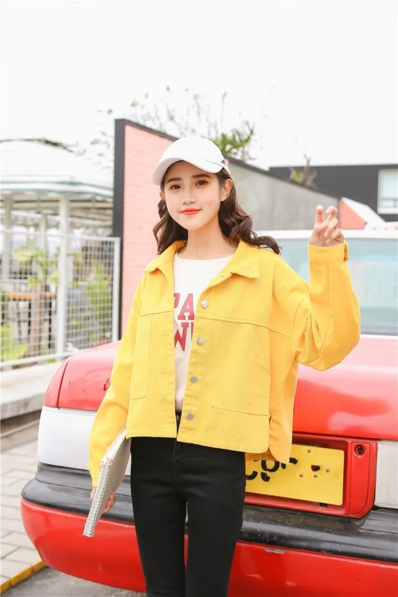 conew_10197081243_1679928300_conew1