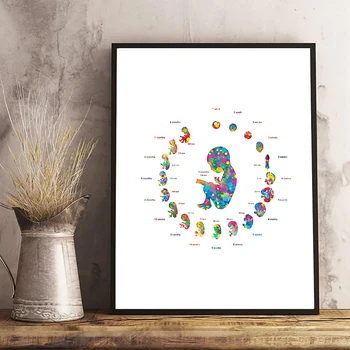

Pregnancy Fetus Development Abstract Art Posters Print Embryo Biology Medical Art Watercolor Canvas Painting Obstetrician Gifts