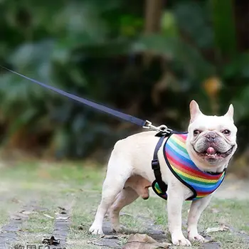 

Pet Out Rope Chain Breathable Chest Strap Dog Leash Cat Chain Rope Adjustable