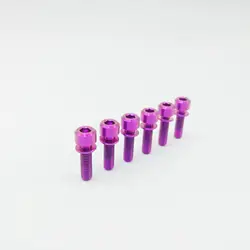 Vibrant Titanium Hex Socket Bolts with Washer - Round Head (6 - Pack) (Purple)