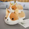 Peluche Corgi pour enfants, chien géant de 40 à 85cm, Animal en peluche, chiot, chien, oreiller doux, adorable poupée Kawaii, cadeau de noël pour enfants ► Photo 2/6