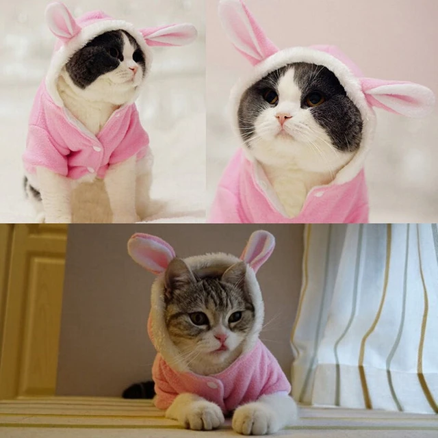 Veste polaire à capuche pour animal de compagnie, vêtement chaud, mignon,  lapin, chat, chiot - AliExpress