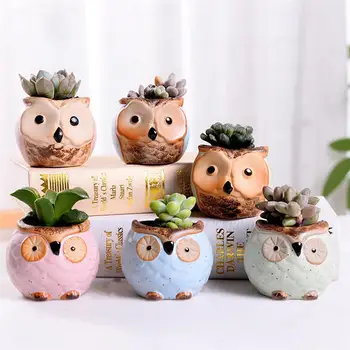 

6pcs Owl Shape Flowerpots Succulent Planters Creative Plant Containers Ceramic Bonsai Pots Ceramic Flowerpots For Home Office