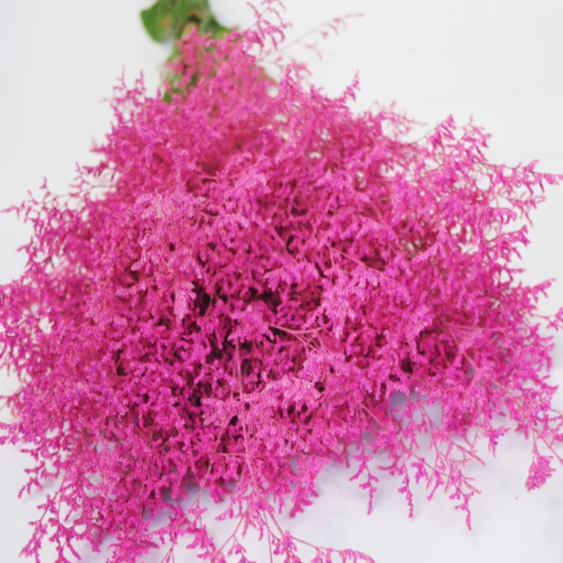 QQ截图20200523155853