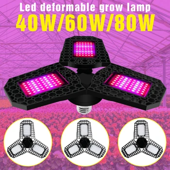 

E27 Plant Grow Light 40W 60W 80W Phyto Lamp LED Full Spectrum Flower Seedling Growth Tent LED Fitolampe LED Hydroponics Lampara