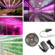 Красный синий 5:1 светильник для выращивания цветов 12V светодиодный водонепроницаемый светильник 5m