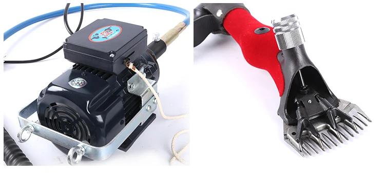 TB2VudiiVXXXXclXpXXXXXXXXXX_!!2732176825