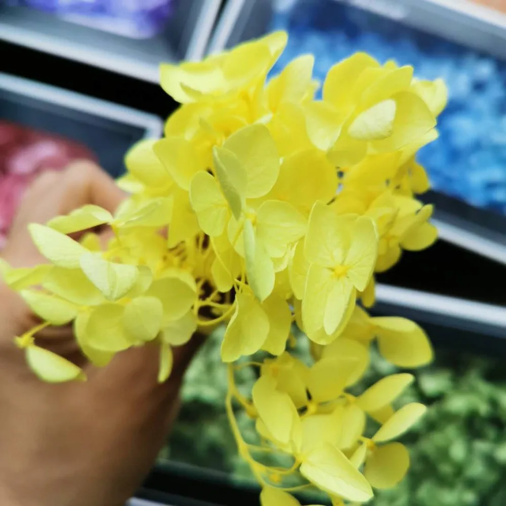 0c21a5f89a2356439eee71010760595