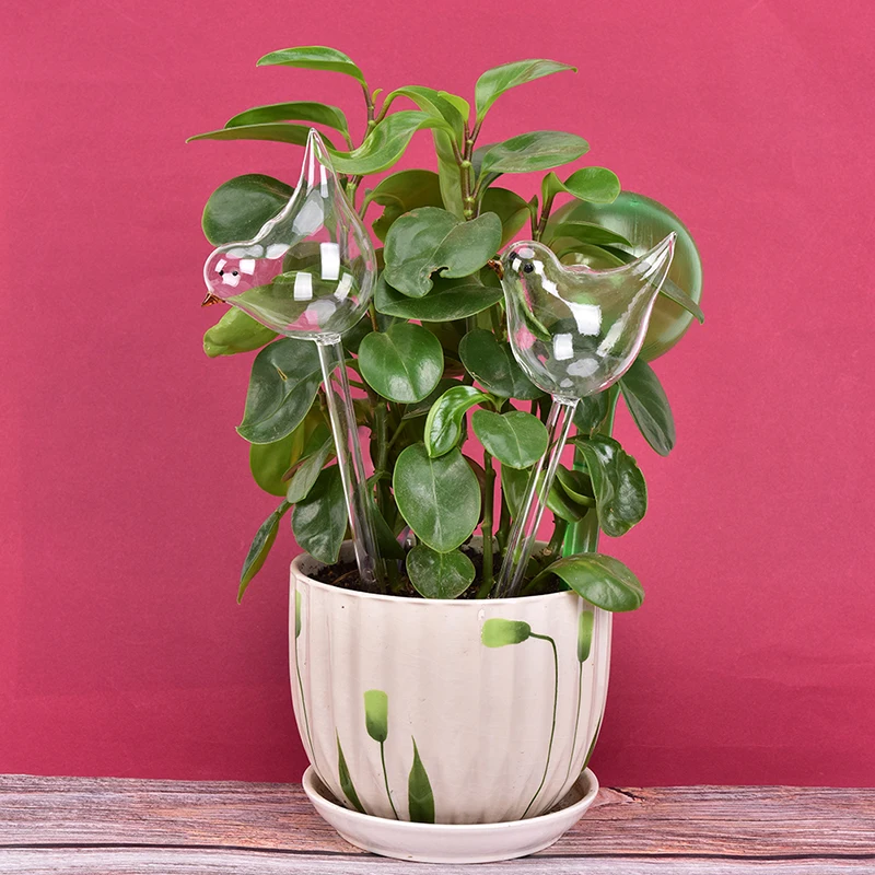 1PCS Plant Self Watering Globe Plants Water Bulbs Bird Shape Clear Glass Device | Дом и сад