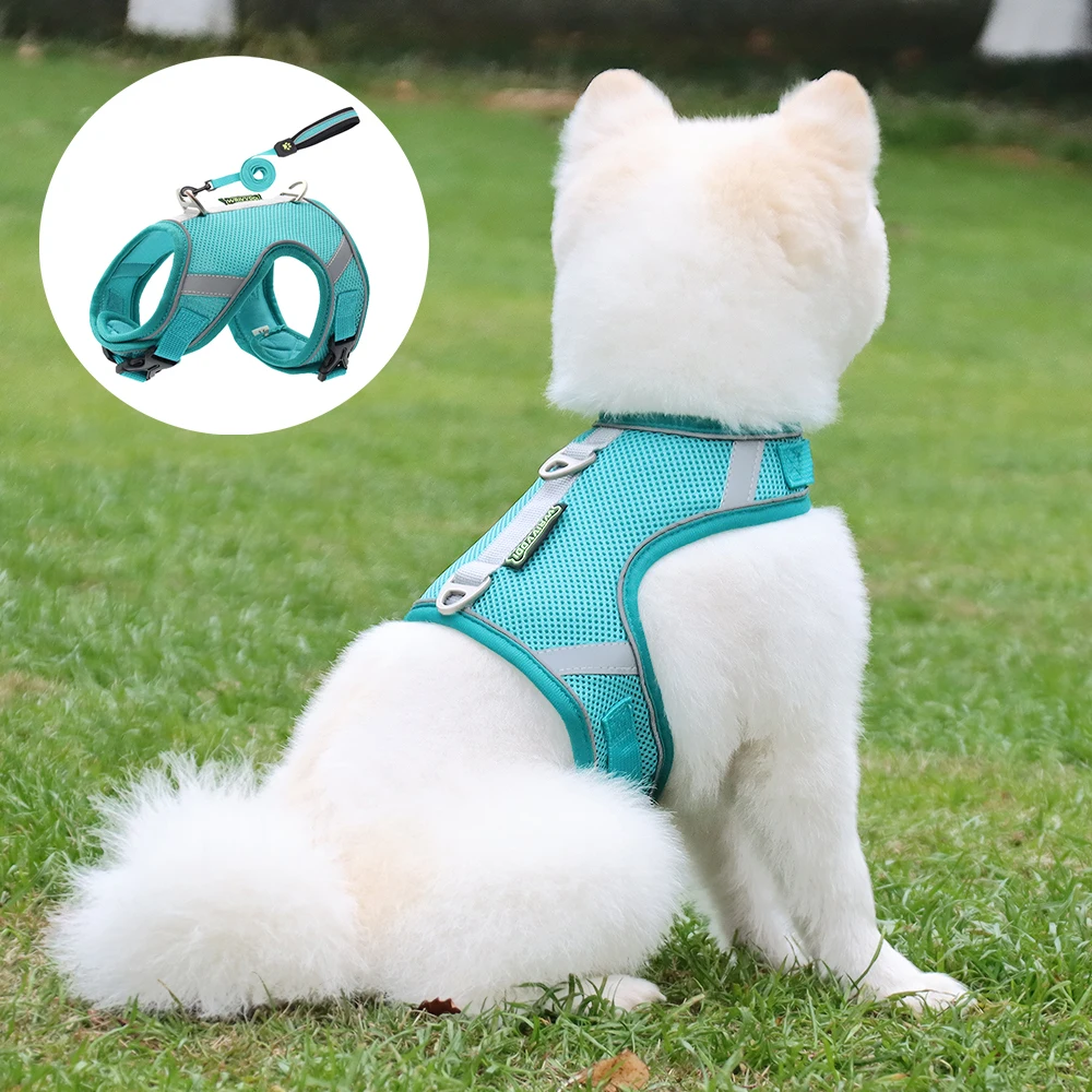 Ensemble de harnais et laisse pour chien, ajustable, accessoire pour chiot,  Chihuahua, bouledogue, à la mode, été, S-L - AliExpress