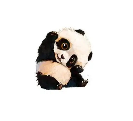 36020190312103303303