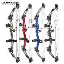 

Junxing Archery 35-55 Lbs Compound Bow And Arrow Set, 310FPS, 70% Labor Saving Rate, Shooting Hunting Accessories