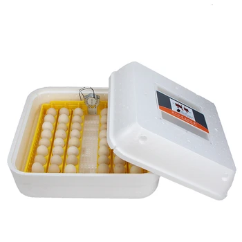 

Automatic Household Egg Incubator Intelligent Double Layer Chicken Bird Hatching Water Bed Incubadora Couveuse