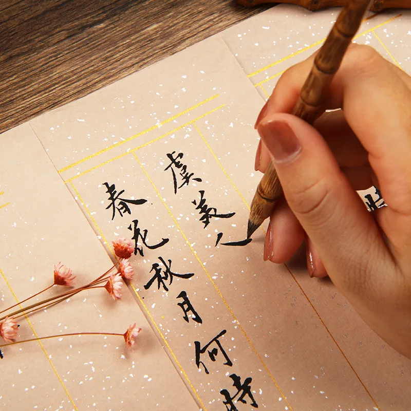 Su Shi & Li Yu & Li Qingzhao Poetry Calligraphy Copybook Small Regular Script Brush Pen Practice Pastel Spotted Gold Xuan Paper