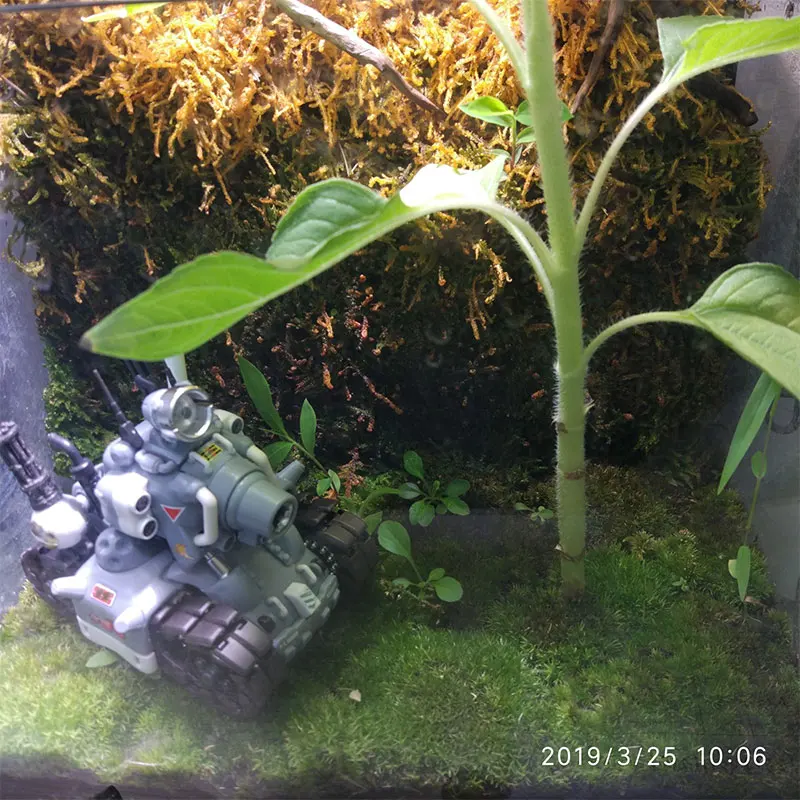 未标题-18