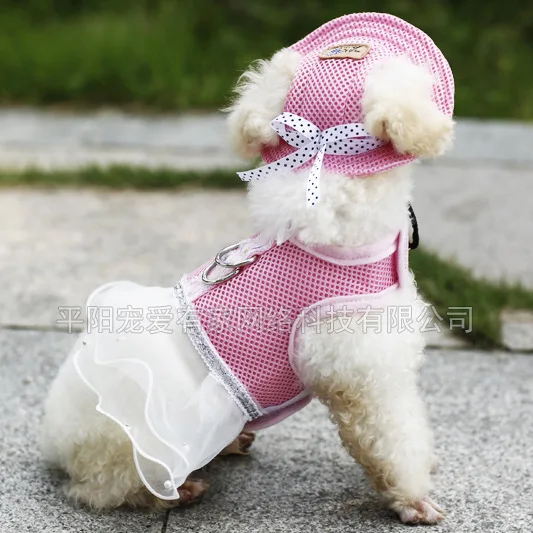 Tailing up/tailup Pet Headdress Mesh Canvas Oxford Cloth Pet Hat Dog Princess Hat College Style