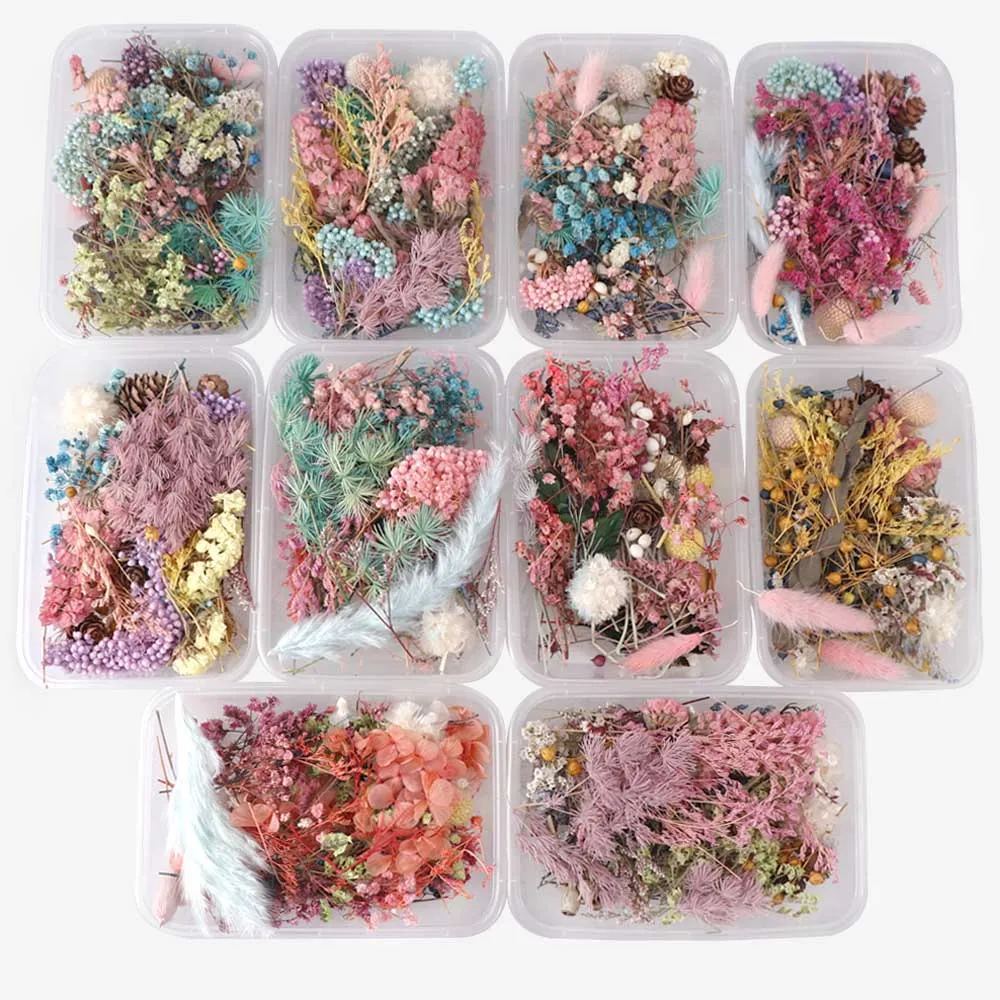 

Random 1 Box More Than 8 Style Mix Flower Pressed Dried Dry Leaves Plants For Nail Art Decors Jewelry Making DIY Accessories