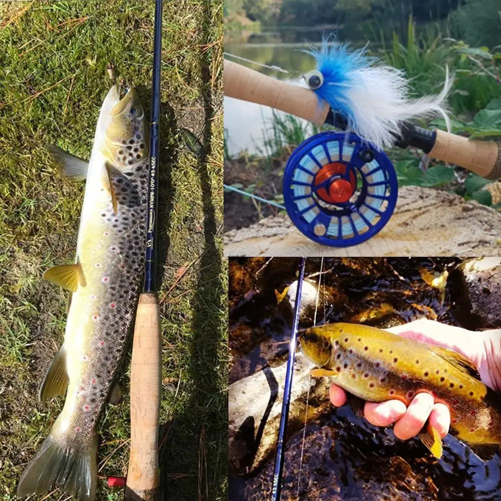 clown colored fishing lure Blade Bait 3/4 oz Ways Tie Fishing Line Z-Man DieZel MinnowZ 4 inch Soft Paddle Tail Swimbait 5 pack (Color):Sexy Penny Diamond Hi-Speed Trolling Weights Blade baits are versatile