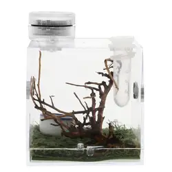 Caixa de armazenamento transparente alta da gaiola da aranha do salto da caixa do habitat da aranha com lâmpada