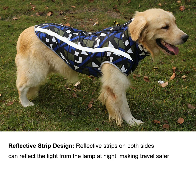 clothes for dogs (25)