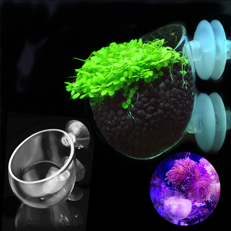 Maceta de cristal para Acuario decoración para peces, musgo de planta Coral, Copa cilíndrica, decoración de Acuario, adorno para plantación de césped