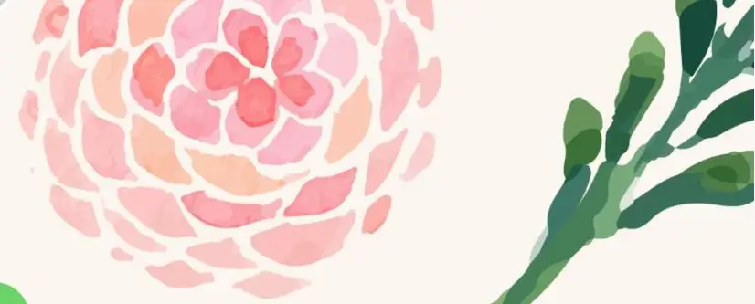 QQ截图20200528100125