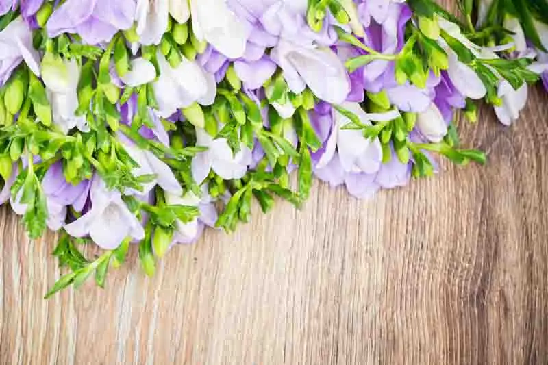 

SHENGYONGBAO Vinyl Custom Photography Prop Floral and Wood Planks theme Photo Studio Background TW19912-521655
