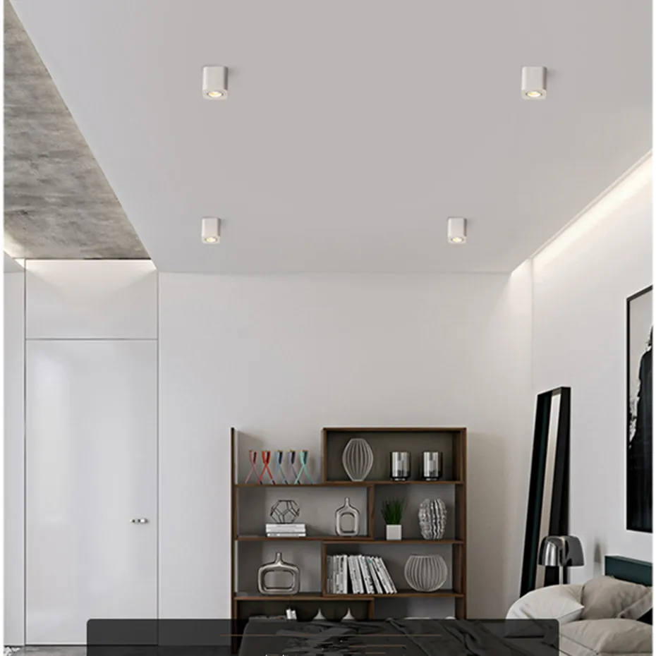 LED Surface downlight (9)