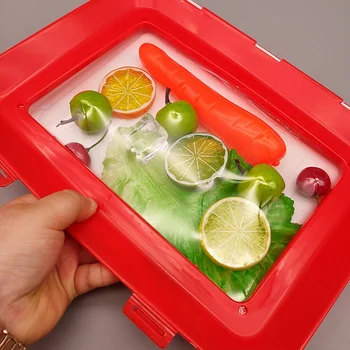 

Creative Food Fresh-Keeping Tray Food Fresh-Keeping Isolator Organizer Food Fresh-Keeping Refrigerator Food Fresh-Keeping