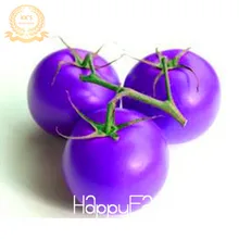 Большая распродажа! садовая реликвия Чероки фиолетовый помидор F1 бонсай, объемная упаковка, 100 шт./лот, фантастические съедобные овощи,# XNPY91