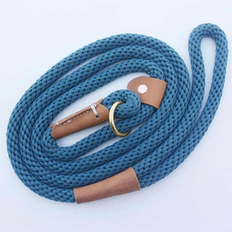 remington leash