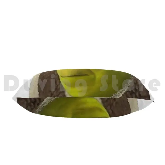 Little Shrek Meme Beanie Hedging Cap DIY Print Cushion Shrek Meme Png Shrek  Face Shrek Meme Face Shrek Png Shrek Wazowski - AliExpress