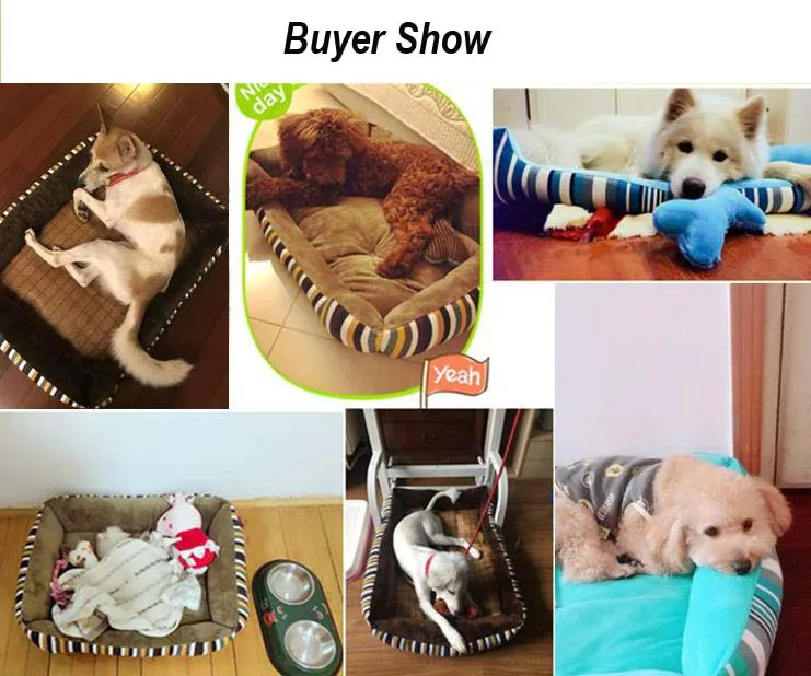 360截图20200215090710349