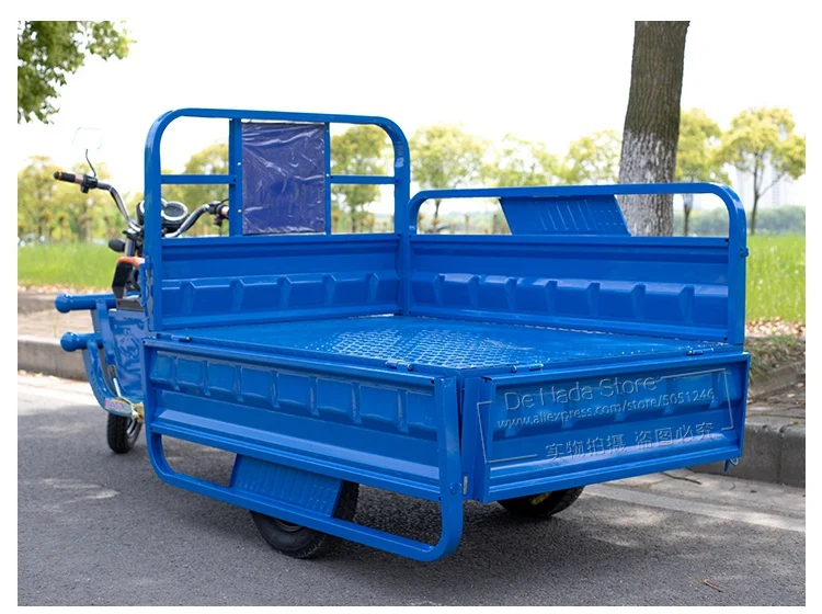 Africa 3 Wheel Ebike E Scooter Bicycle Passenger Cargo Delivery Tricycle Motor Truck Motorcycle Adult Trike Electric Bike 1