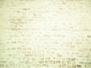 

SHENGYONGBAO Art Fabric Custom Photography Backdrops Prop Vintage theme Photo Studio Background FG19511-1056