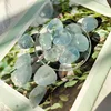 Best Selling Natural Healing Crystals Celestite Tumbles Stone For Christmas Decoration 2
