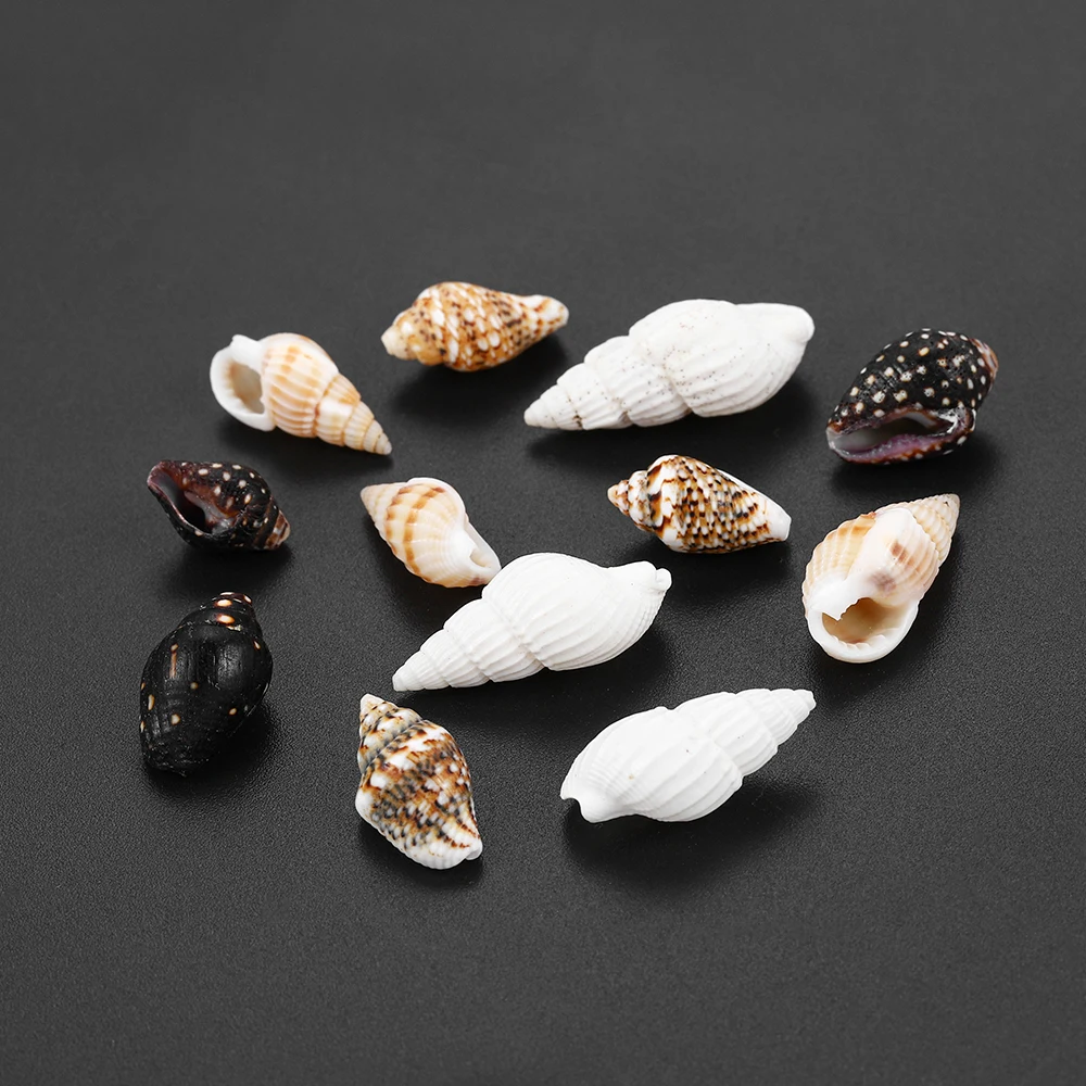 

50g/pack Natural Shell Aquarium Landscape Drops Glue Mini Small Conch Spiral Screw For DIY Jewelry Making Epoxy Craft Seashell