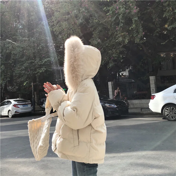 

Thick Warm Large Fur Collar Hooded Cotton Coat Women's Autumn And Winter 2019 New Style Korean-style Loose-Fit Students Solid Co
