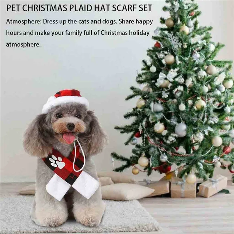 HQJ91023575_0209532401716776792