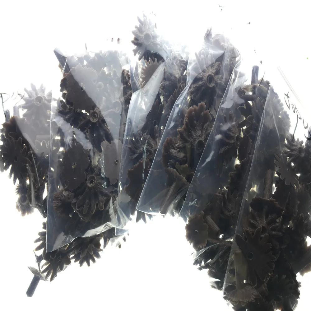 architecture model tree root08