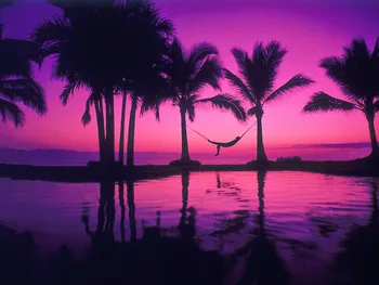 

Manufacturers Direct Selling Customizable Wholesale round Diamond Full of Crystals Diamond Embroidery Torrid Zone Tree Coconut T