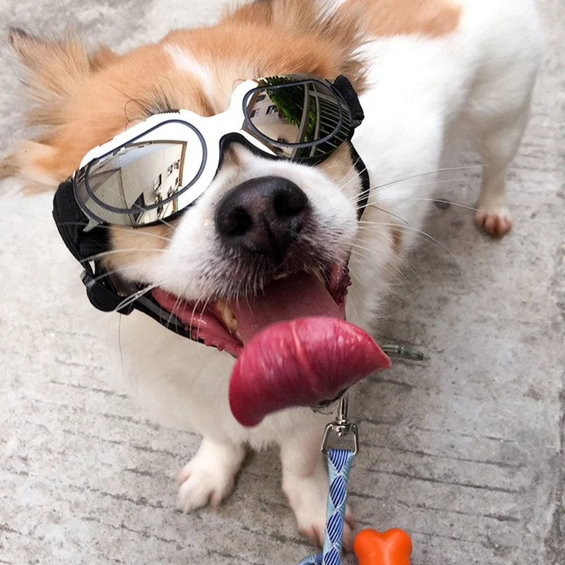 HOT Stylish and Fun Pet/Dog Puppy Uv Goggles Sunglasses Waterproof Protection Sun Glasses for Dog